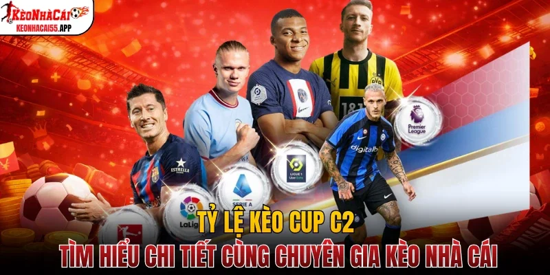 ty-le-keo-cup-c2-avt